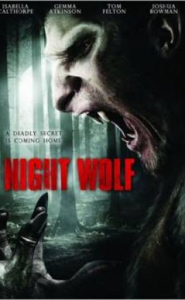 Night Wolf (2012) izle