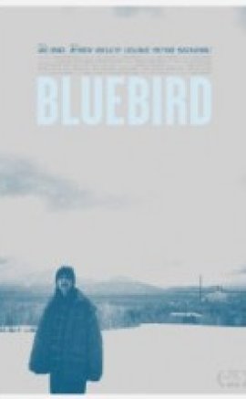 Mavi Kuş , Bluebird 2013 Türkçe Dublaj izle
